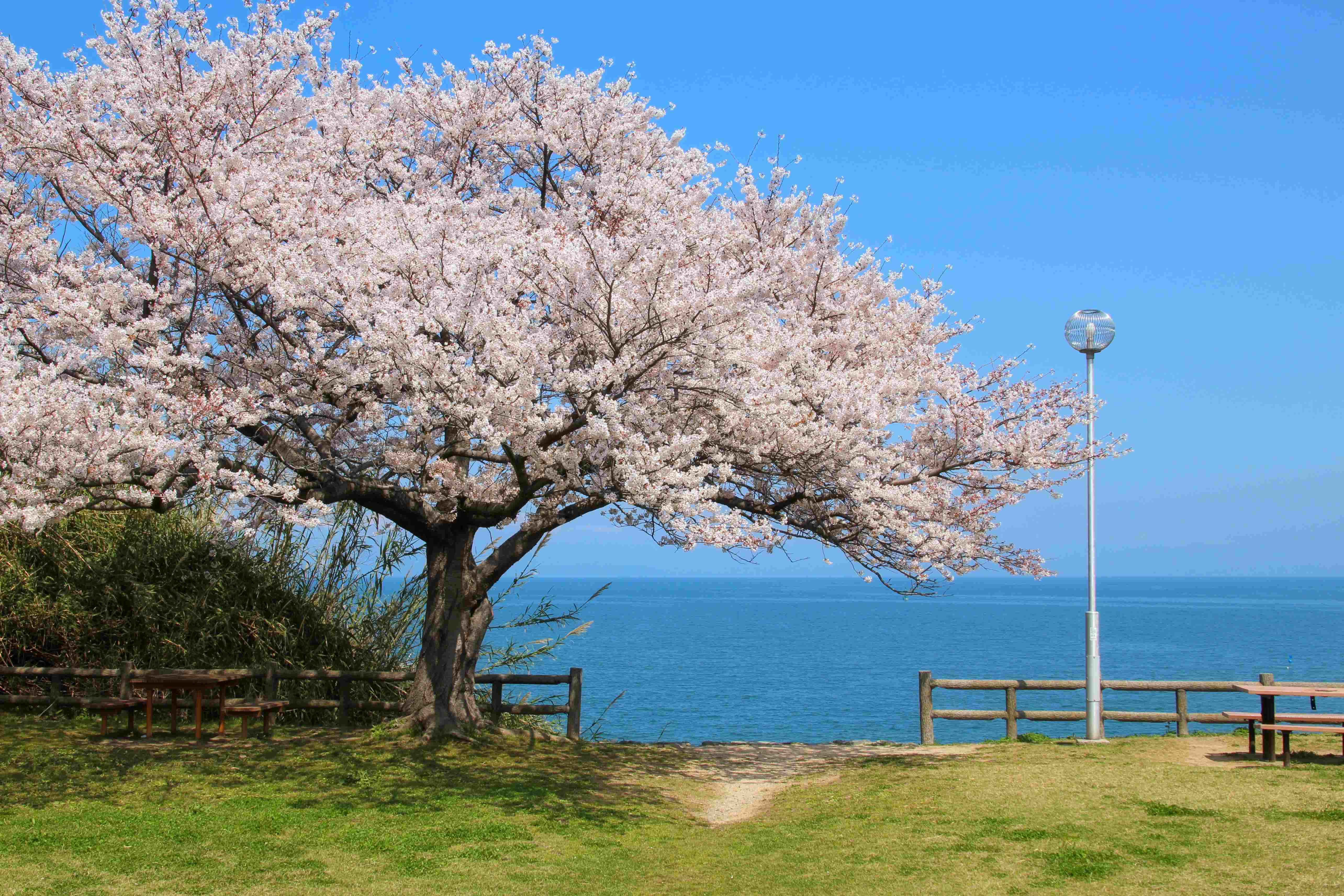 🏞️ 구로시마 해변공원(구로시마카이힌코엔) 이미지 7